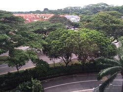 Castle Green (D26), Condominium #500373101